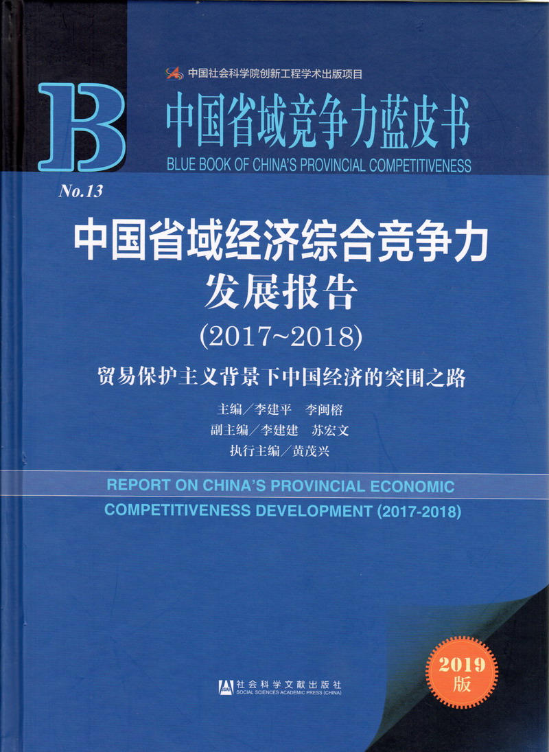 啊……骚逼视频中国省域经济综合竞争力发展报告（2017-2018）